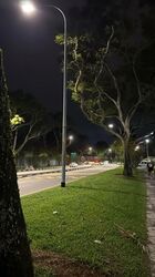 Woodlands Road (D25), Semi-Detached #473060671